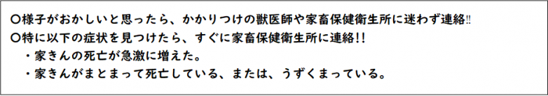 報告