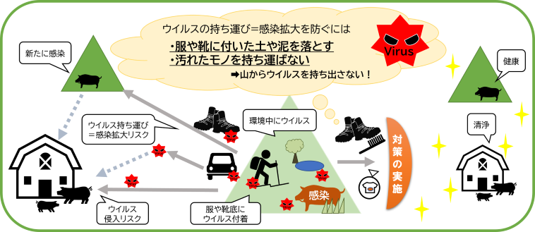 模式図