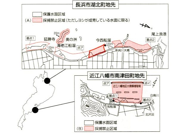 フナモロコ保護水面