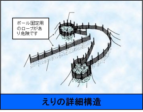 えりの詳細構造