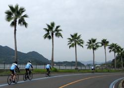 しまなみ海道のサイクリングの視察、体験3