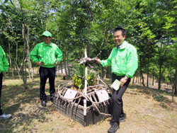 植樹の様子