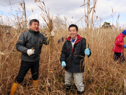 ヨシ刈りに参加