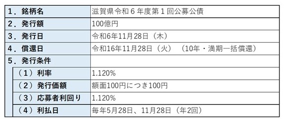 発行条件の説明画像