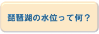 琵琶湖の水位って何?